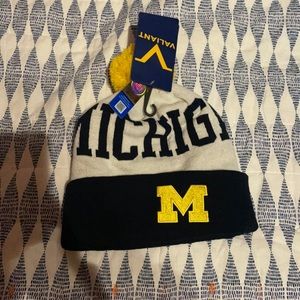 Michigan winter hat